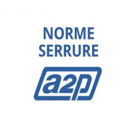 Installation Certifiée A2P à Igny